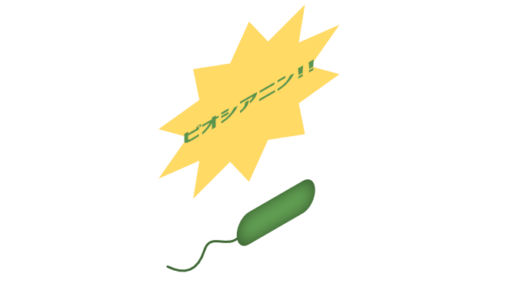 緑膿菌のイラスト